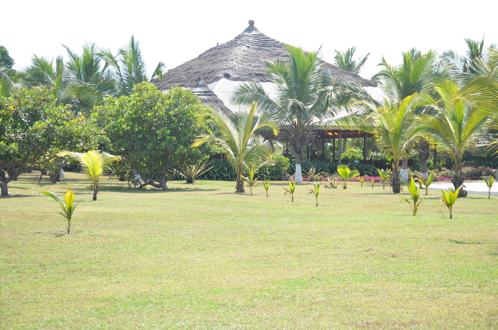 Blue Green Guest House