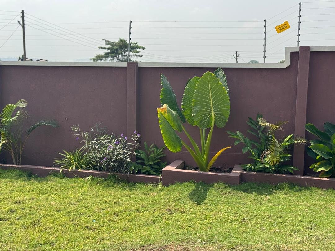 Winnie Max Guest House
